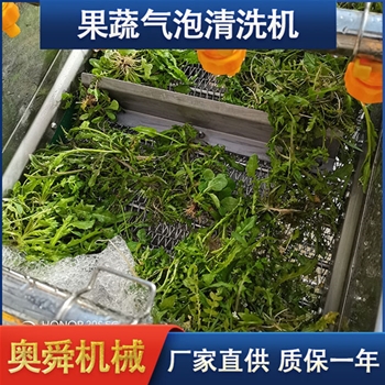 蔬菜清洗機(jī) 奧舜機(jī)械菠菜芹菜清洗機(jī) 葉菜清洗設(shè)備