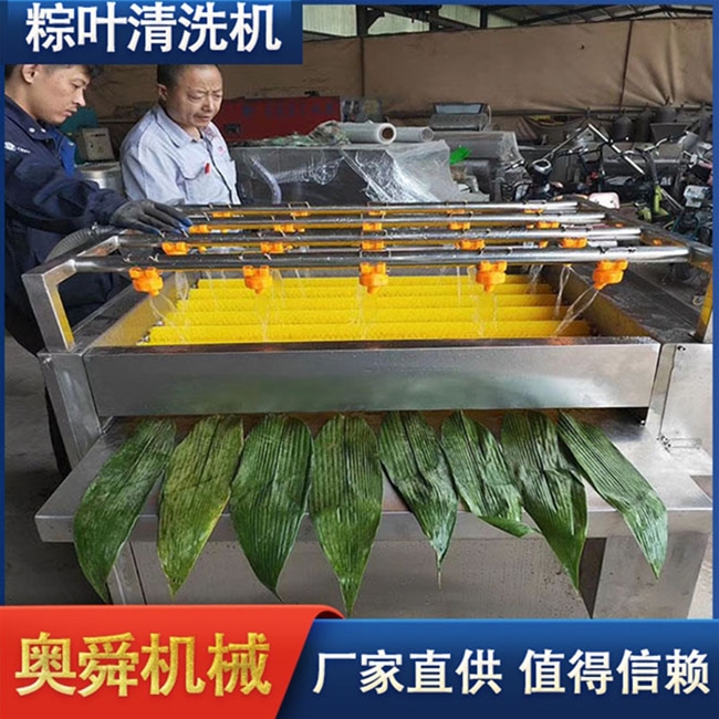 現(xiàn)貨銷售粽葉清洗機 全自動不銹鋼氣泡沖浪荷葉清洗機