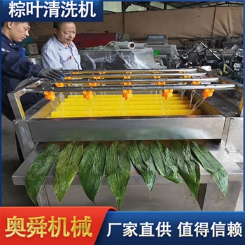 南方粽葉清洗機(jī) 葦葉新型清洗機(jī) 廠家現(xiàn)貨